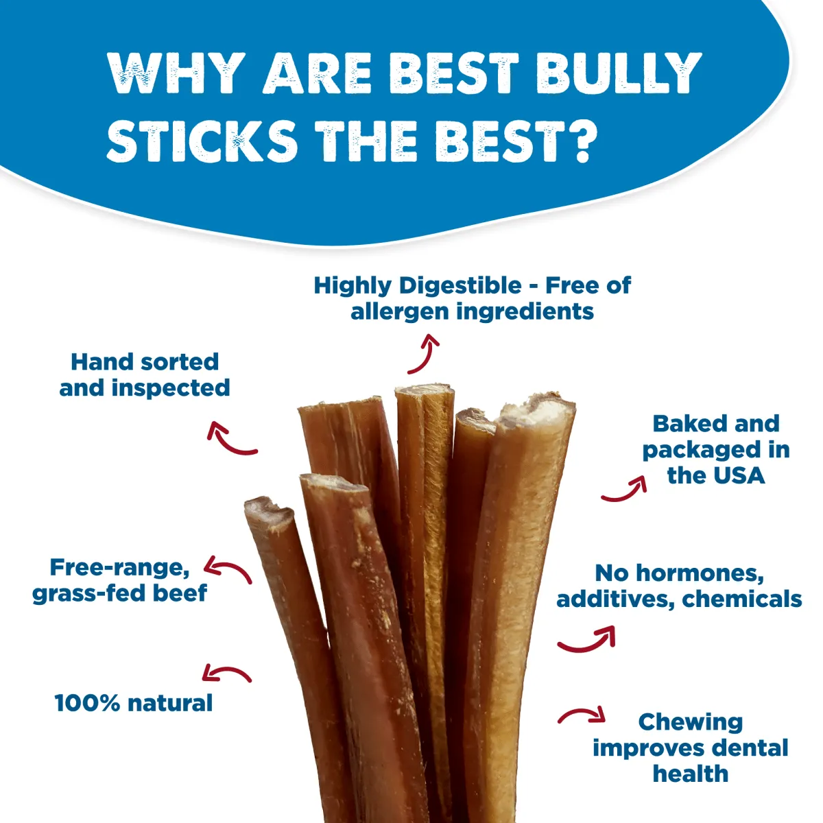 12-Inch Standard Odor-Free Bully Stick