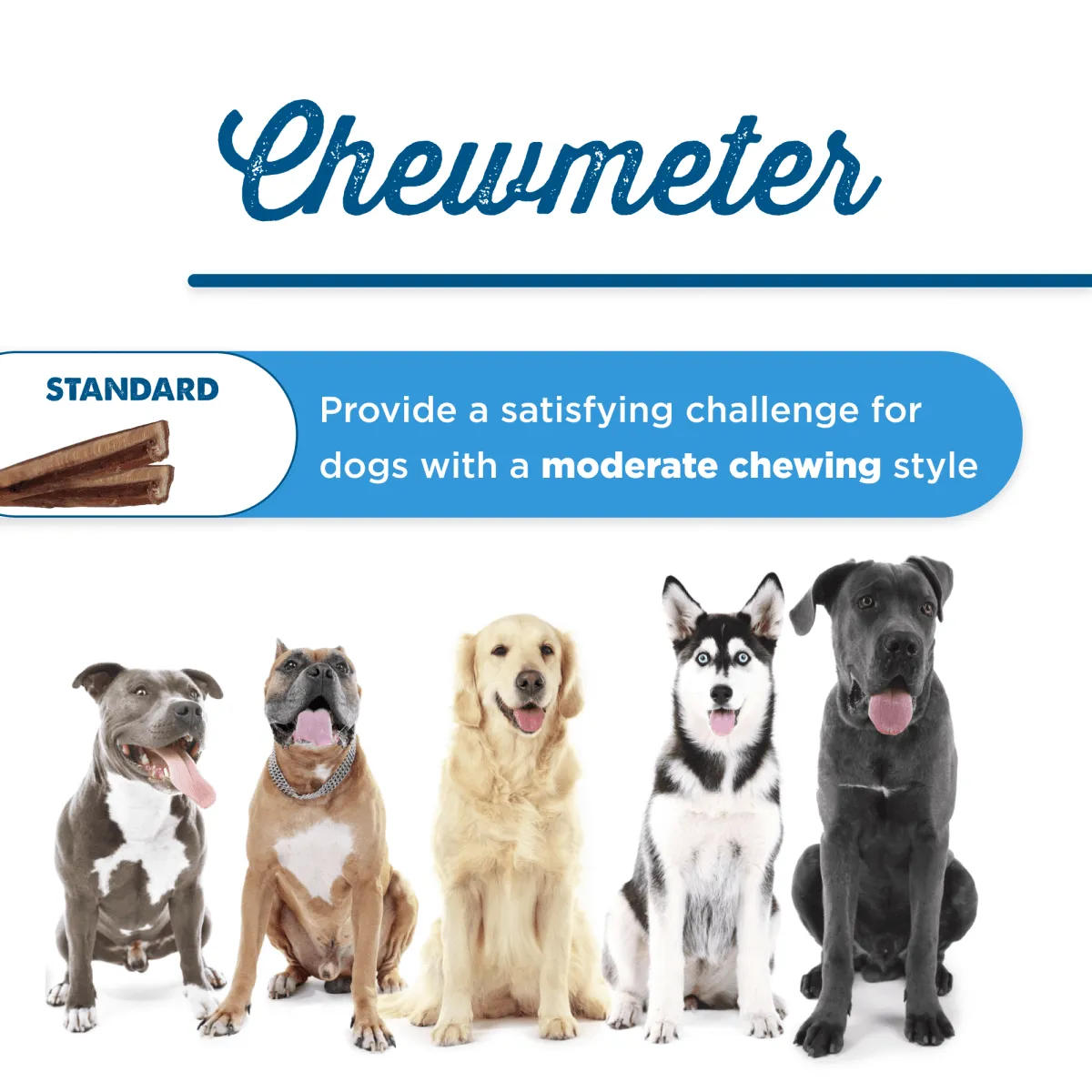 12-Inch Standard Odor-Free Bully Stick