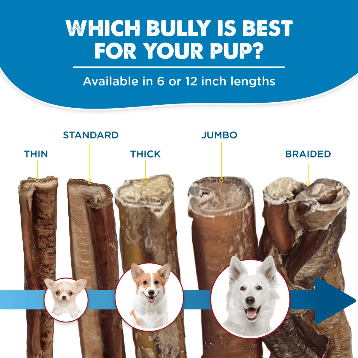 12-Inch Standard Odor-Free Bully Stick