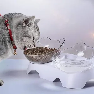 Anti-Vomiting Orthopedic Cat Bowl