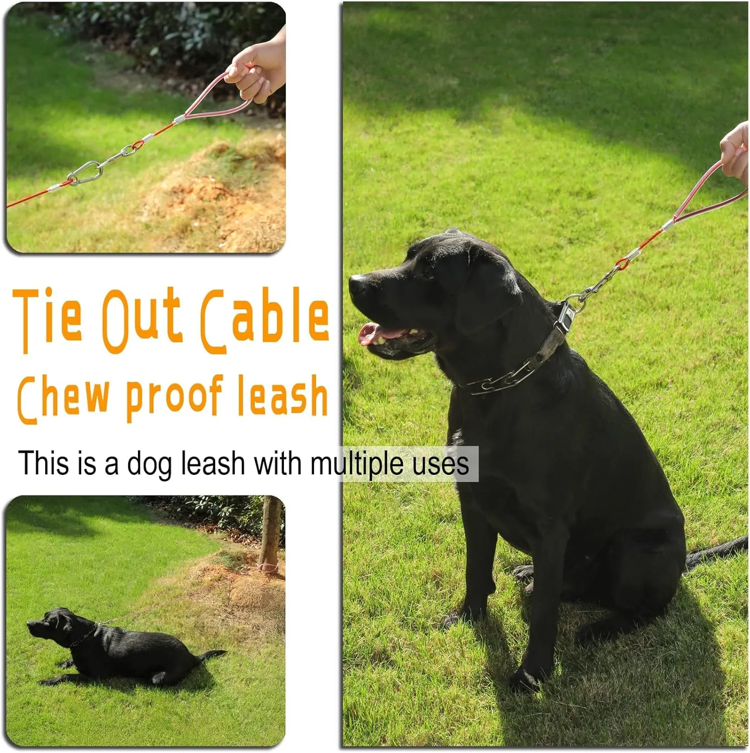 Chew Proof Dog Leash,5Ft Tie Out Cable with Detachable Short Handle,Cable Braided Cord Steel Training Dog Leash for Teething Puppies Small Medium and Large Dogs