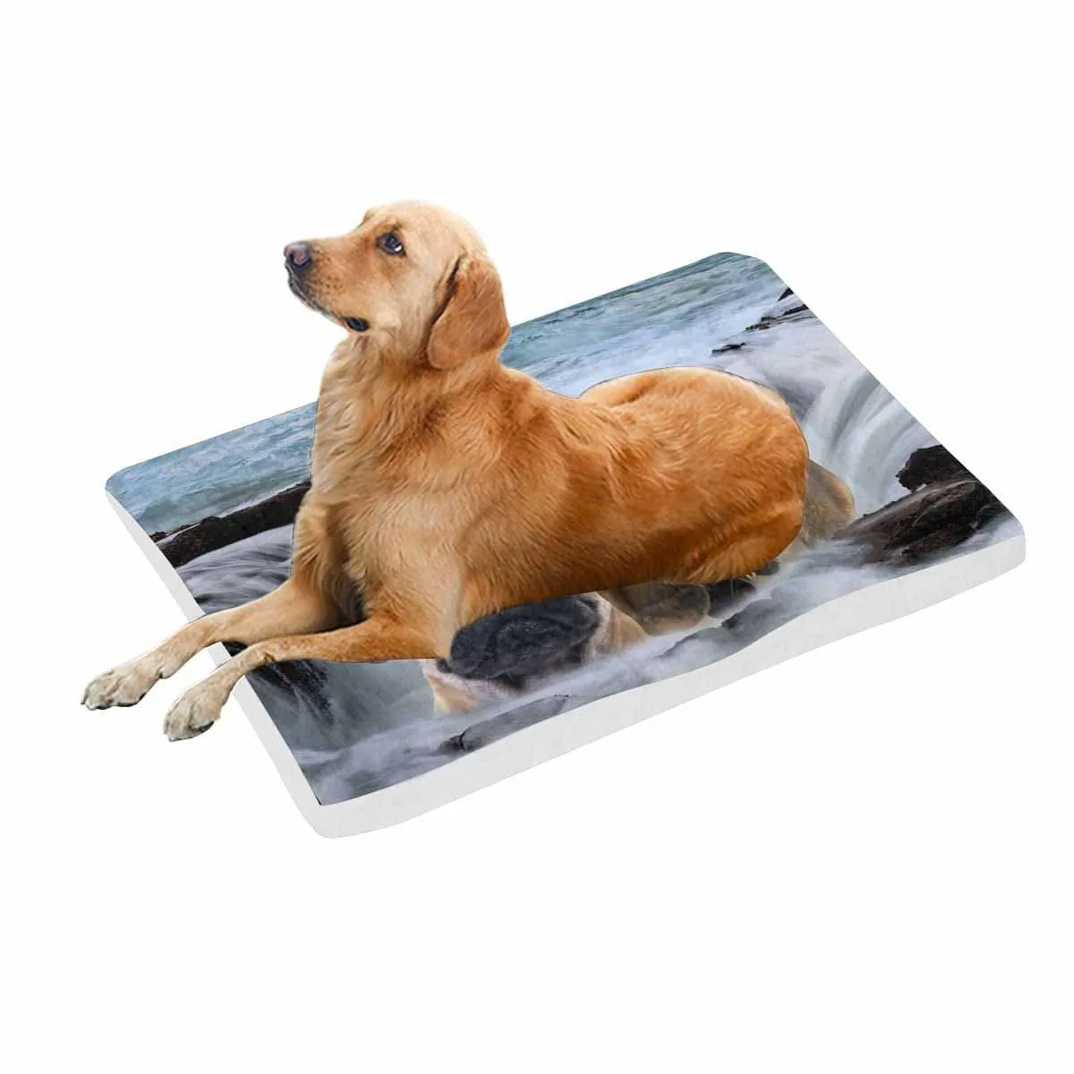 Custom Photo Vortex Center Pet Pad