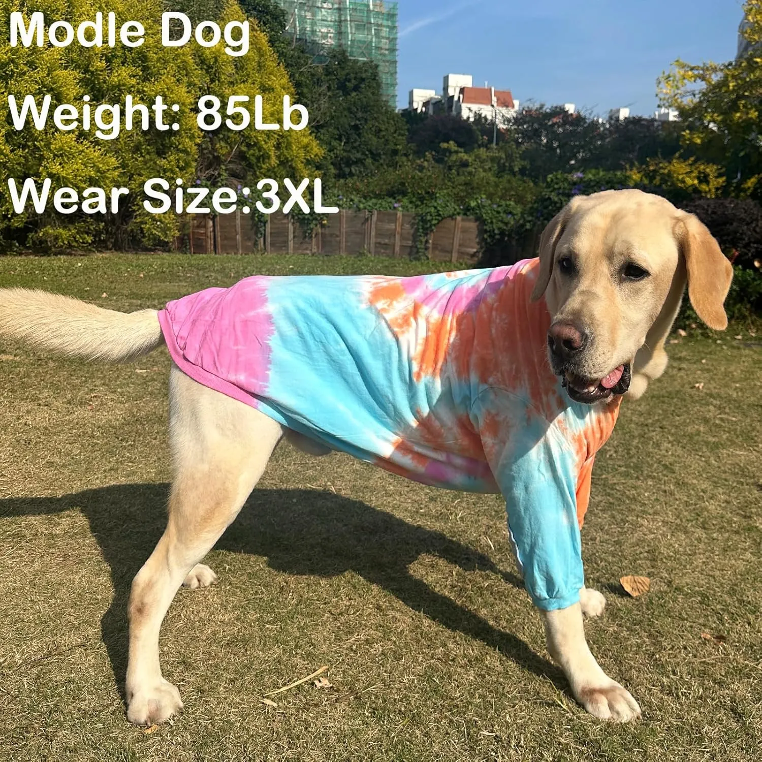 Dog Cotton Colorful Pink Orange T-Shirts Soft and Stretchy Dog Shirt Pajamas Pets Clothes for Extra Large Dogs(2XL PinkOrange)