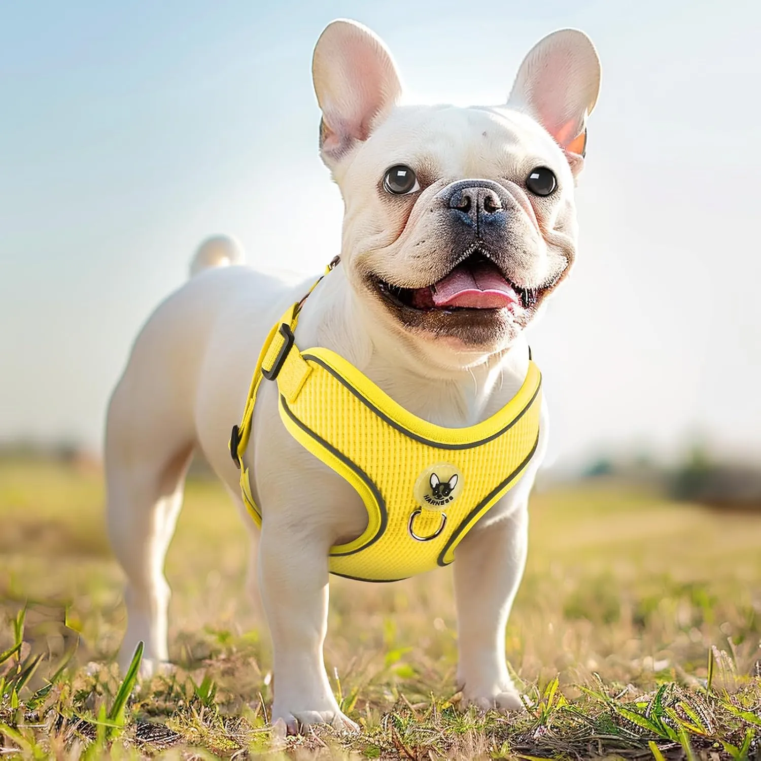 Dog Harness and Leash Set,4 Point Adjustable Reflective Dog Vest Harness,No Pull Harness-Leash for Small Medium Large Sized Dogs Puppy,S-Yellow
