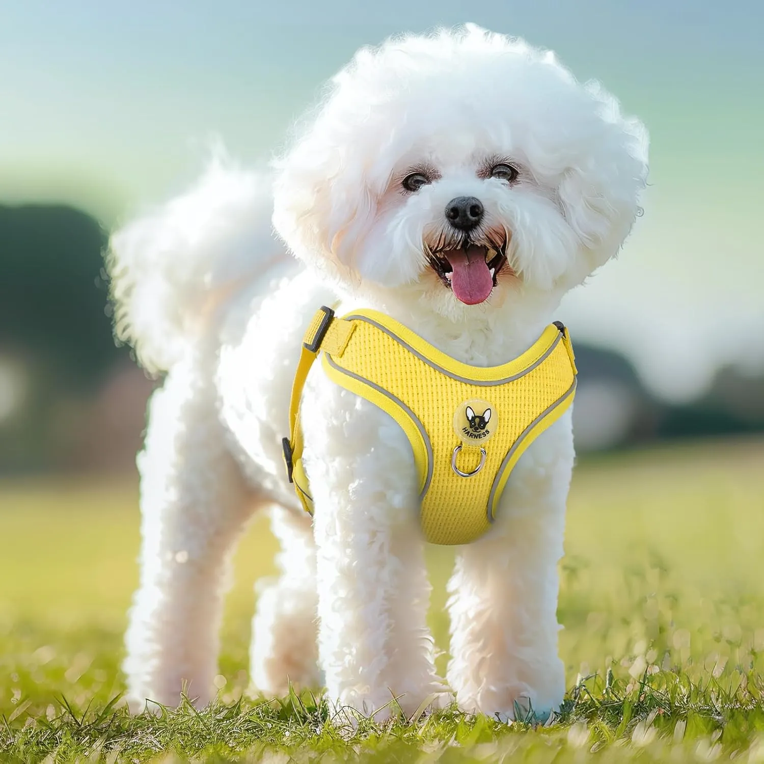 Dog Harness and Leash Set,4 Point Adjustable Reflective Dog Vest Harness,No Pull Harness-Leash for Small Medium Large Sized Dogs Puppy,S-Yellow