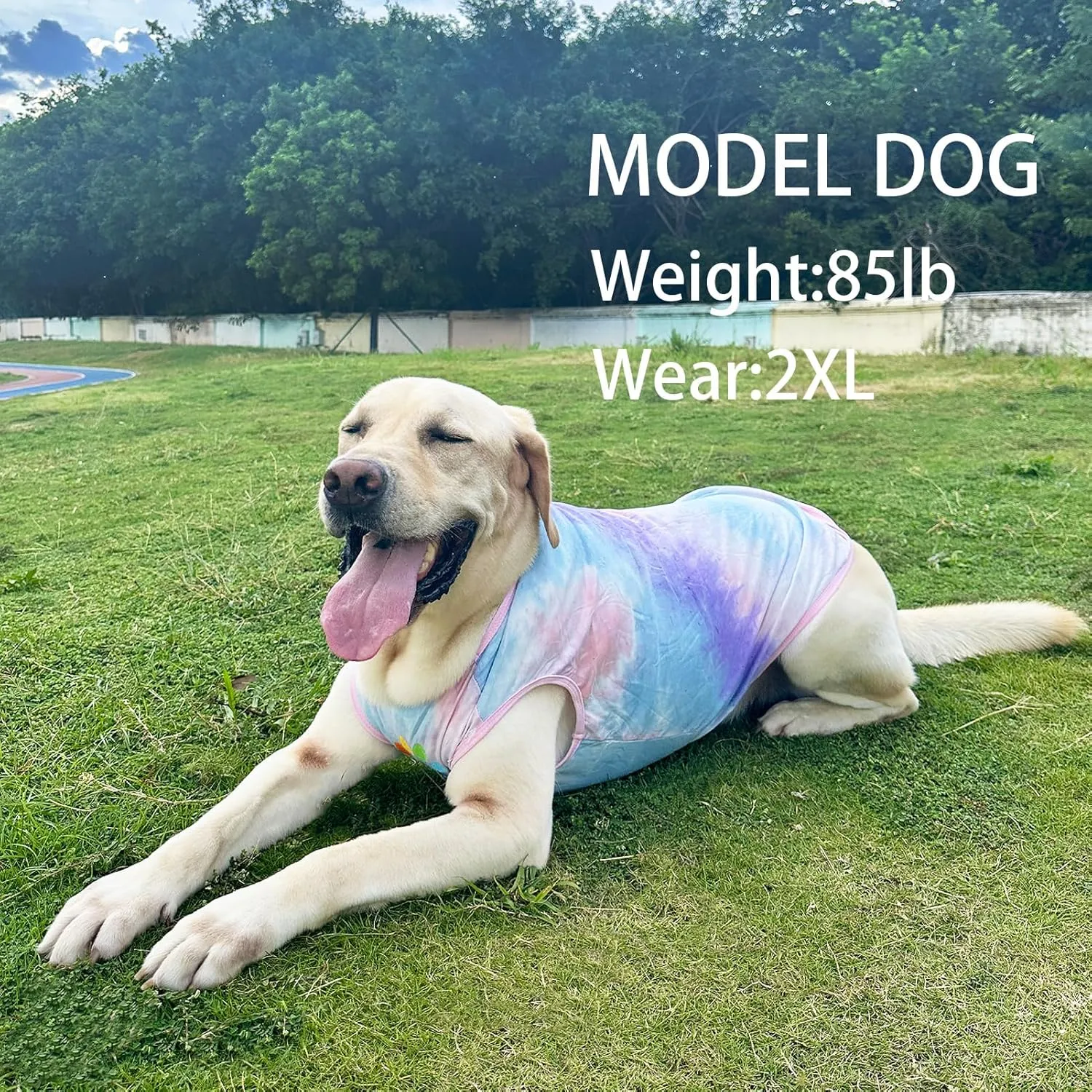 Dog Shirt Dog Vest Summer Tie Dye Dog Clothes Cool Breathable Cotton T-Shirt Medium Large Dog Boys Girls Shirt 2XL