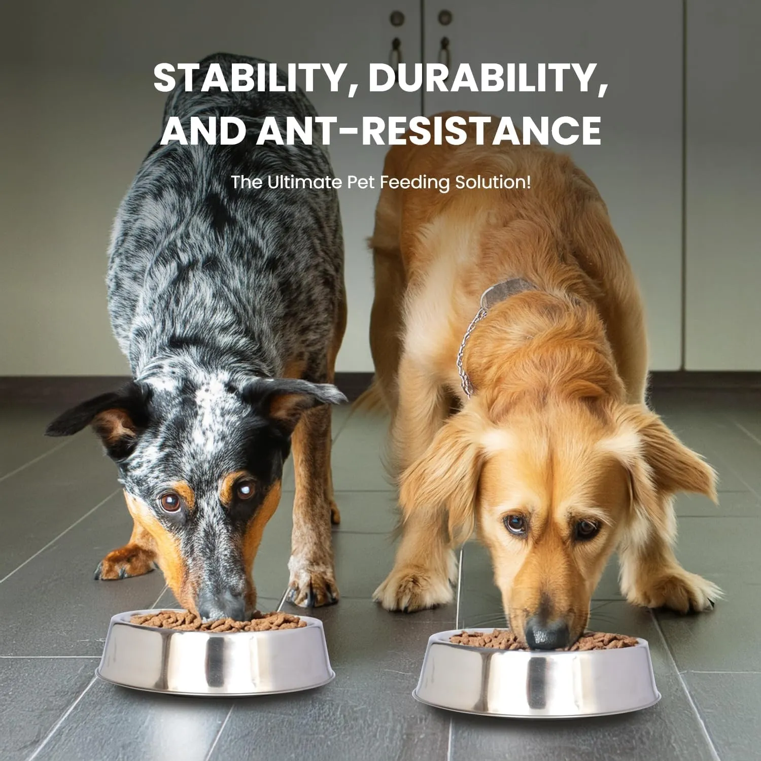 ICONIC PET 2 Pack of 8 Cup Stainless-Steel Non-Skid Pet Bowls for Dog or Cat with Raised Rim Dishwasher Safe Pet Food and Water Bowls - 64 Oz