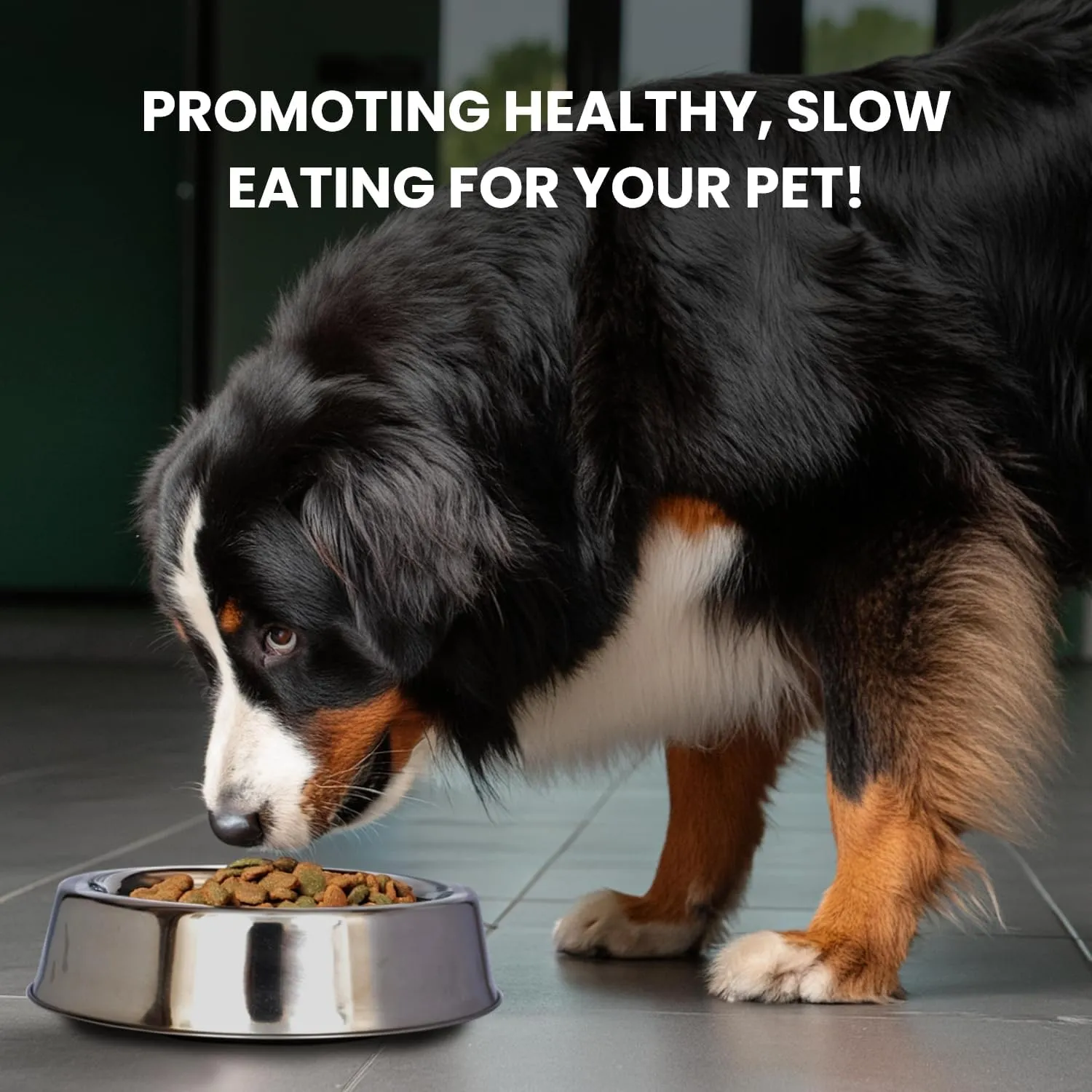 ICONIC PET 2 Pack of 8 Cup Stainless-Steel Non-Skid Pet Bowls for Dog or Cat with Raised Rim Dishwasher Safe Pet Food and Water Bowls - 64 Oz