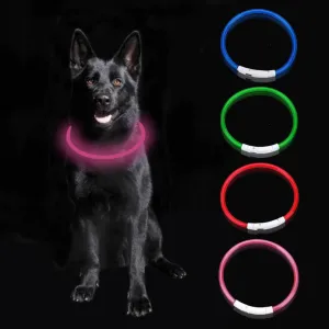 LED Dog Collar Keep Your Dog Safe: Rechargeable LED Collar for Nighttime Adventures,Enhance Visibility with Flash Dog Necklace, LED Dog Collar for Small, Medium & Large Dogs (Pink, M)