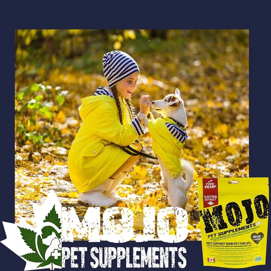 Mojo Pet Supplements Liver Snap