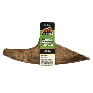 Moose Antler