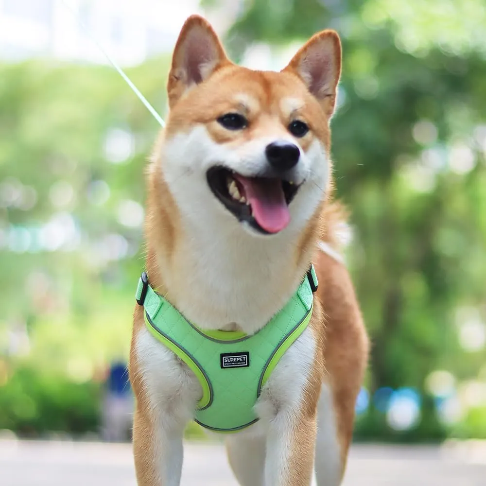 No Pull Dog Harness with Leash Set Green All Weather Mesh Adjustable Step in Reflective Escape Proof Vest Harness for Small and Medium Dogs Puppy,Large Cat S