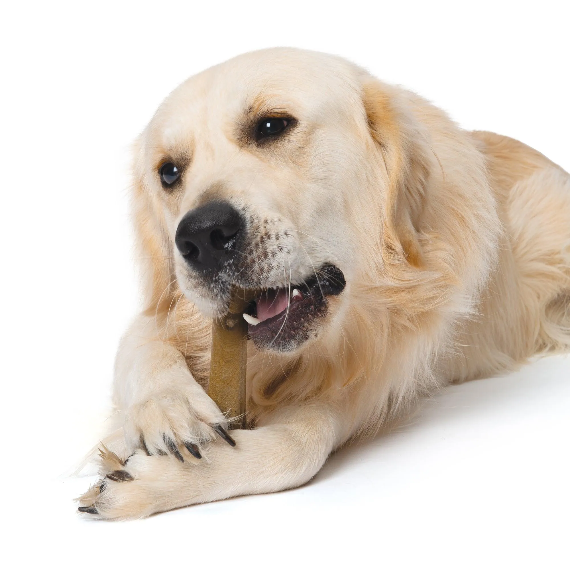 Nosh Strong Chew Bone Bacon