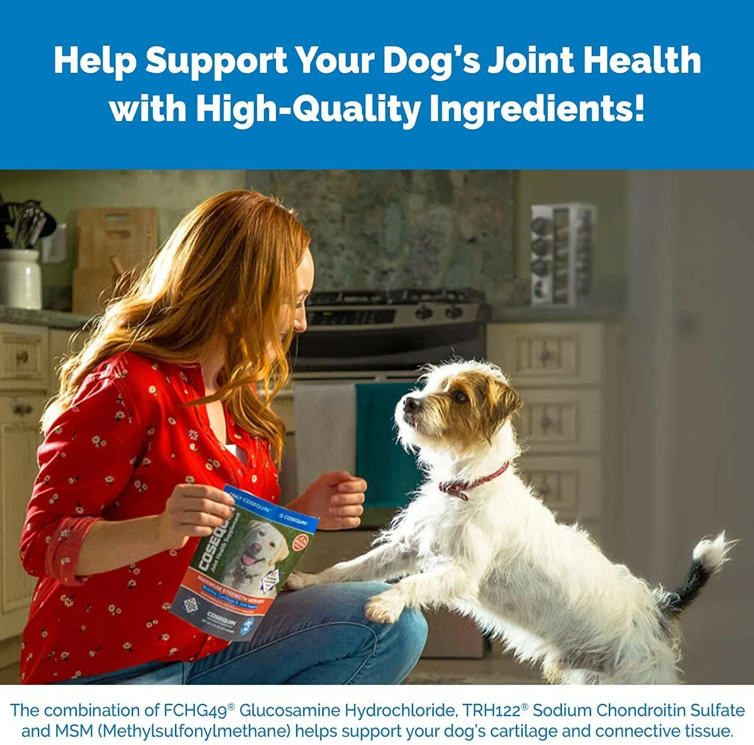 Nutramax Cosequin DS Joint Health Supplement for Dogs - With Glucosamine and Chondroitin