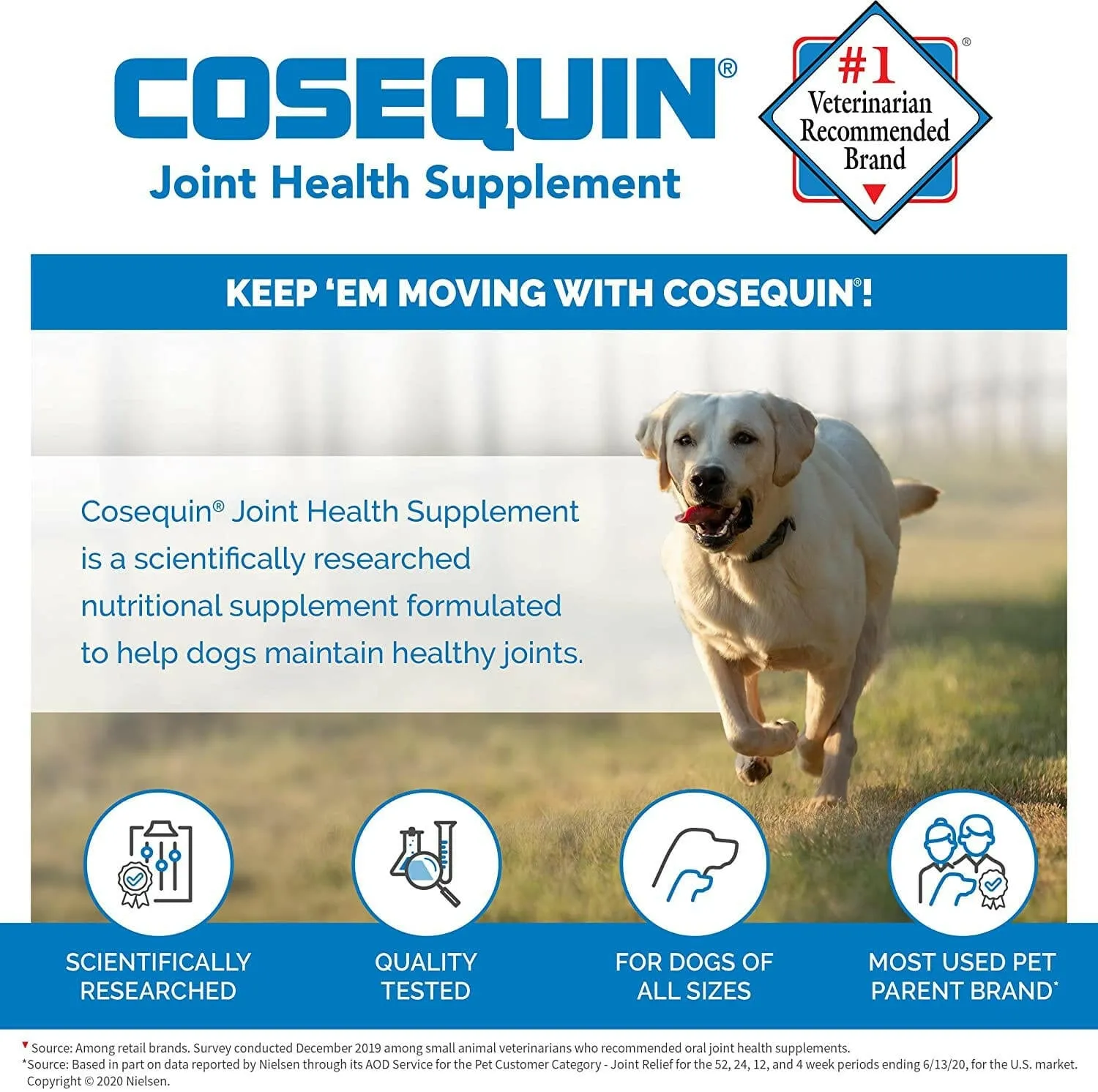Nutramax Cosequin DS Joint Health Supplement for Dogs - With Glucosamine and Chondroitin