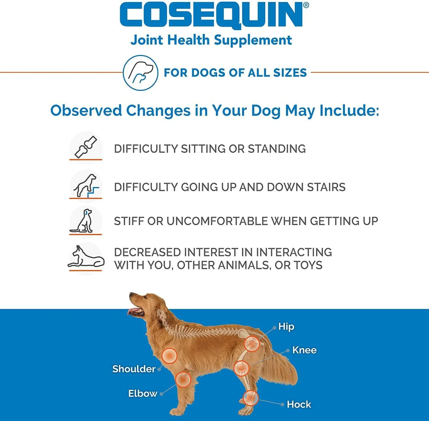 Nutramax Cosequin DS Joint Health Supplement for Dogs - With Glucosamine and Chondroitin