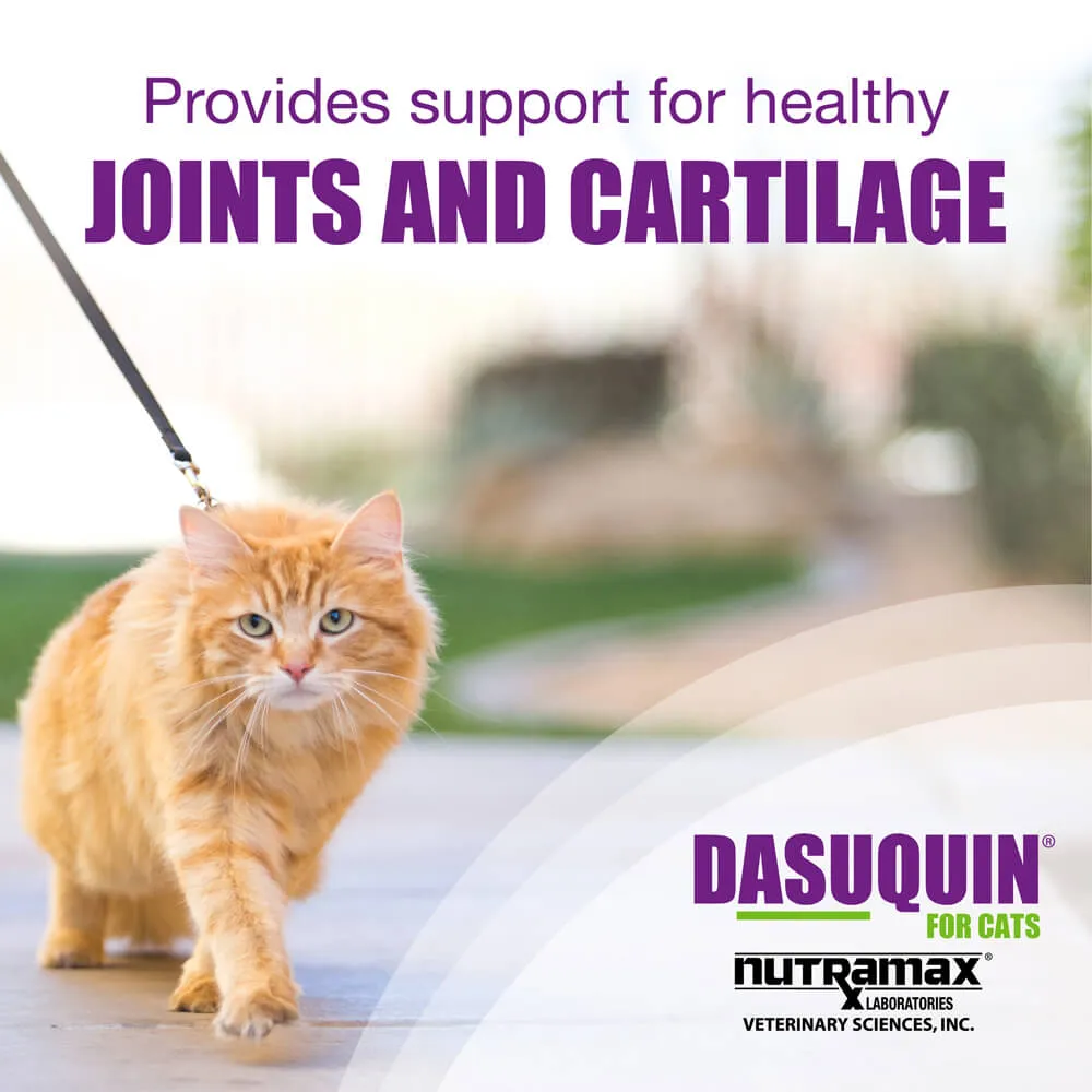 Nutramax Dasuquin Joint Health Supplement for Cats