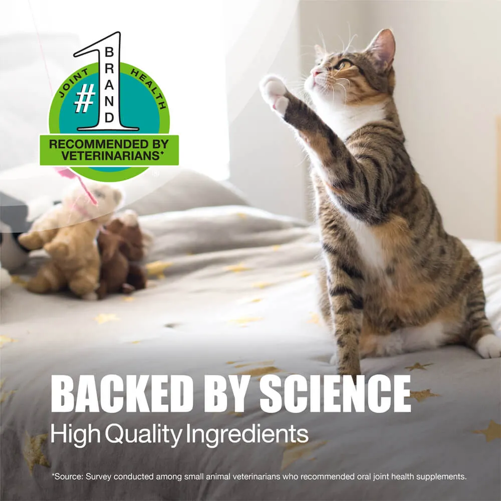 Nutramax Dasuquin Joint Health Supplement for Cats