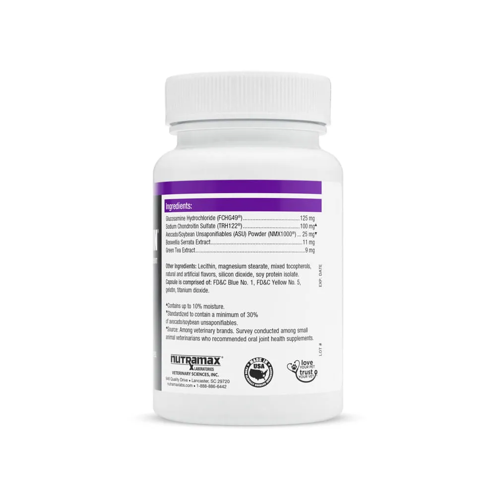 Nutramax Dasuquin Joint Health Supplement for Cats