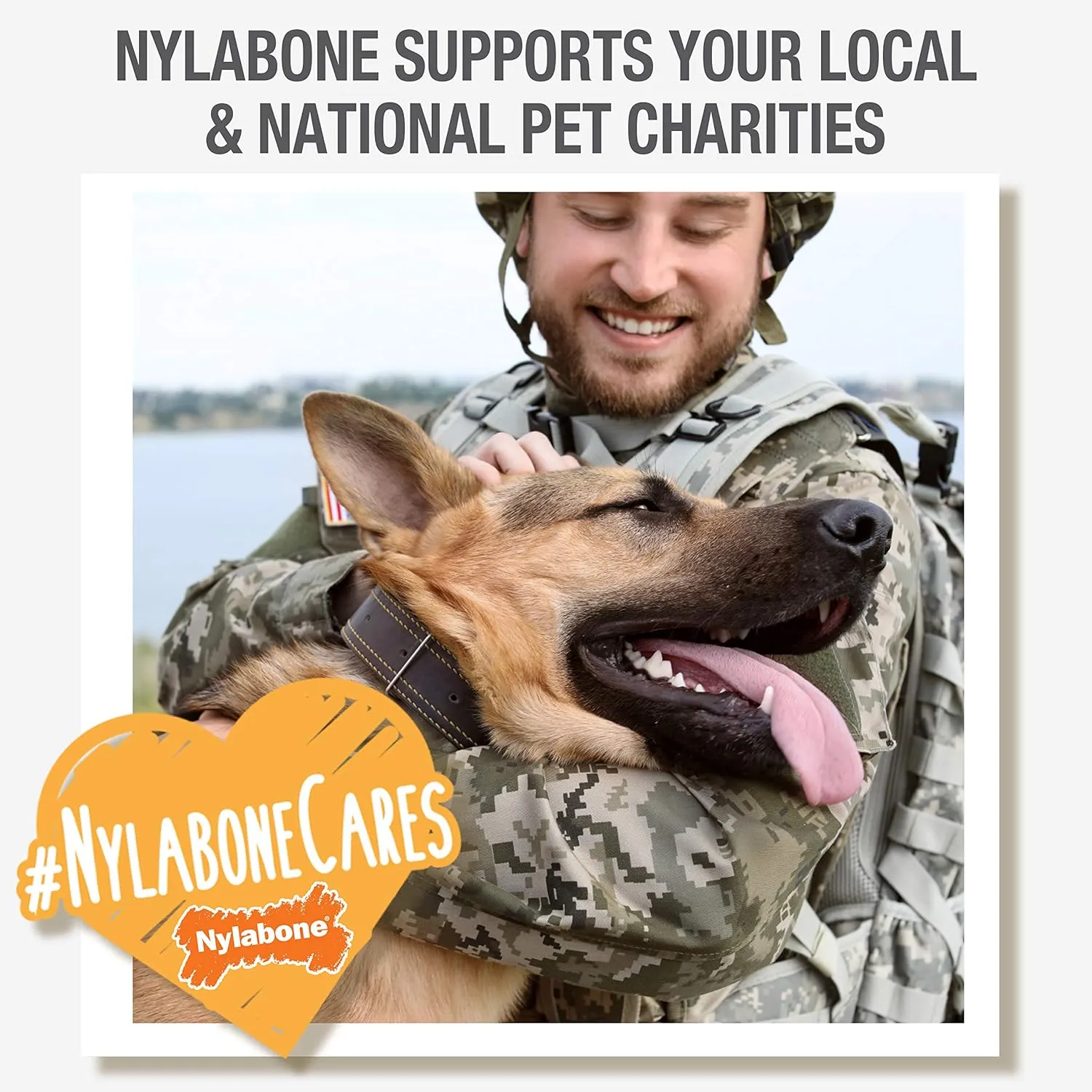 Nylabone Power Chew Antler Alternative Nylon Chew Toy for Dogs, Dog Toys for Aggressive Chewers, Venison Flavor, Medium/Wolf (1 Count)