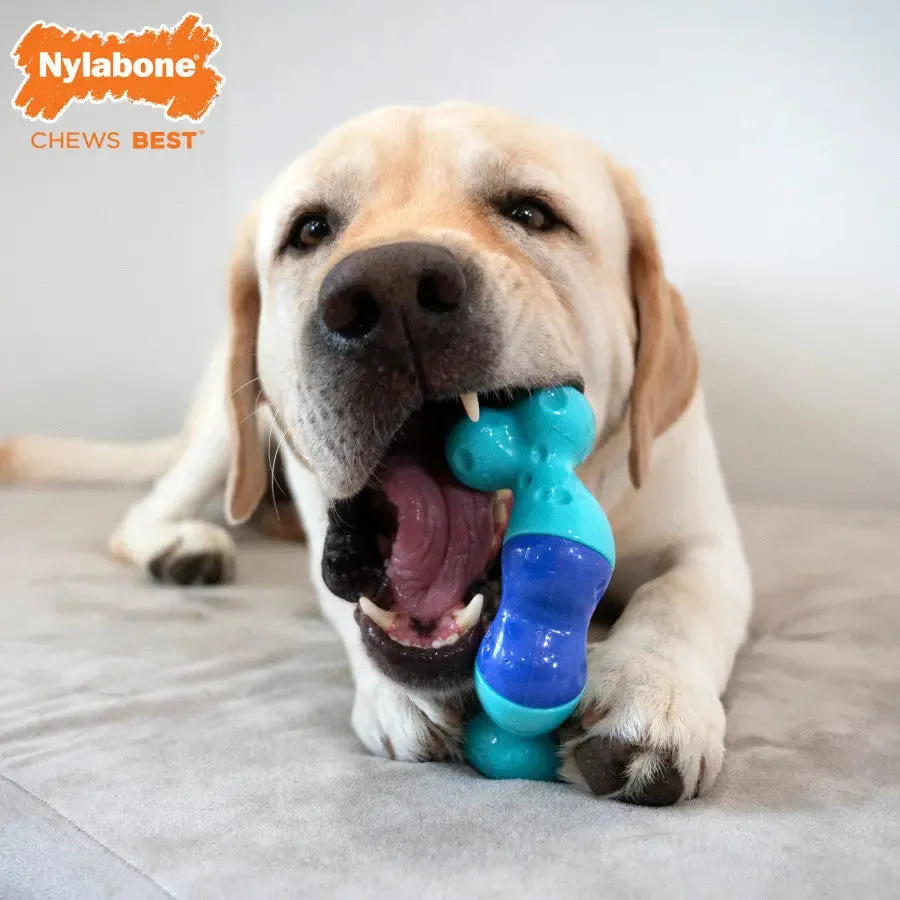 Nylabone Power Chew Twist 'N Bacon & Beef Jerky Flavor Chew Dog Toy