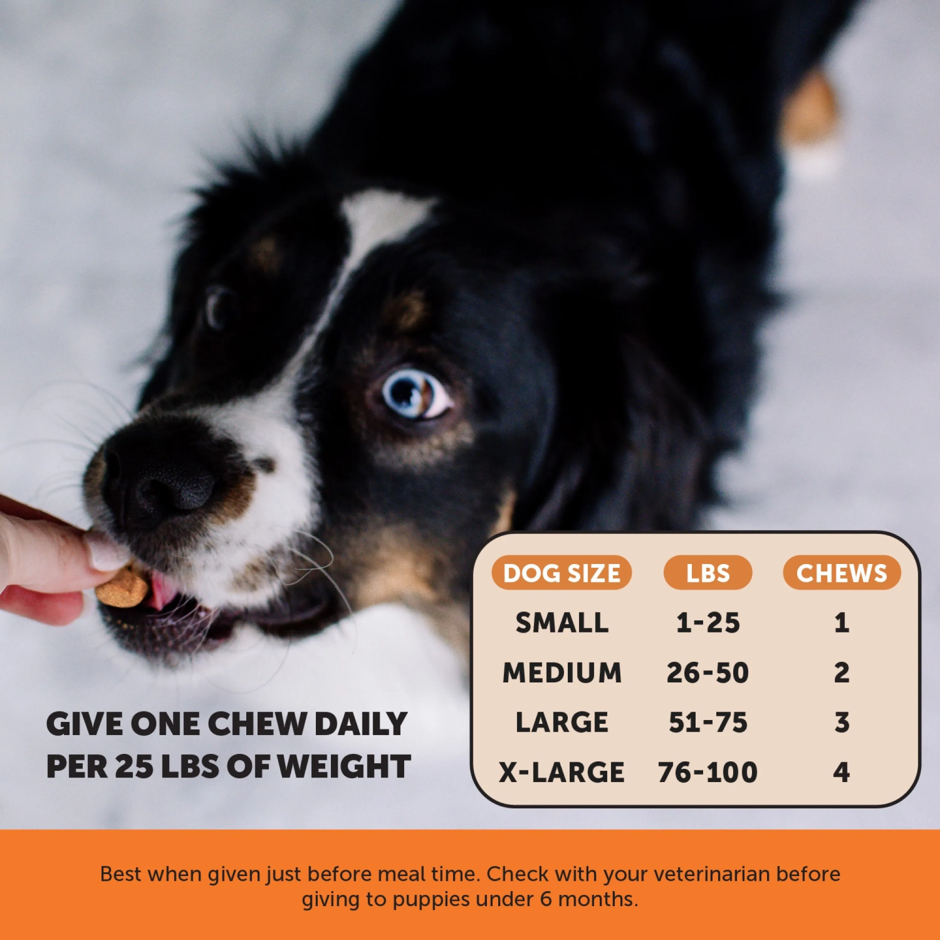 Pet Honesty Hip Joint Health Chicken Soft Chew for Dogs