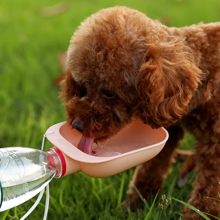 Portable Multi-Function Drinking Bowl