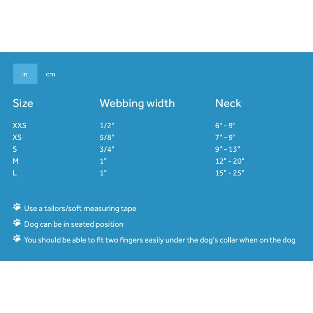 RC Adjustable Dog Clip Collar Fresh Tracks Teal