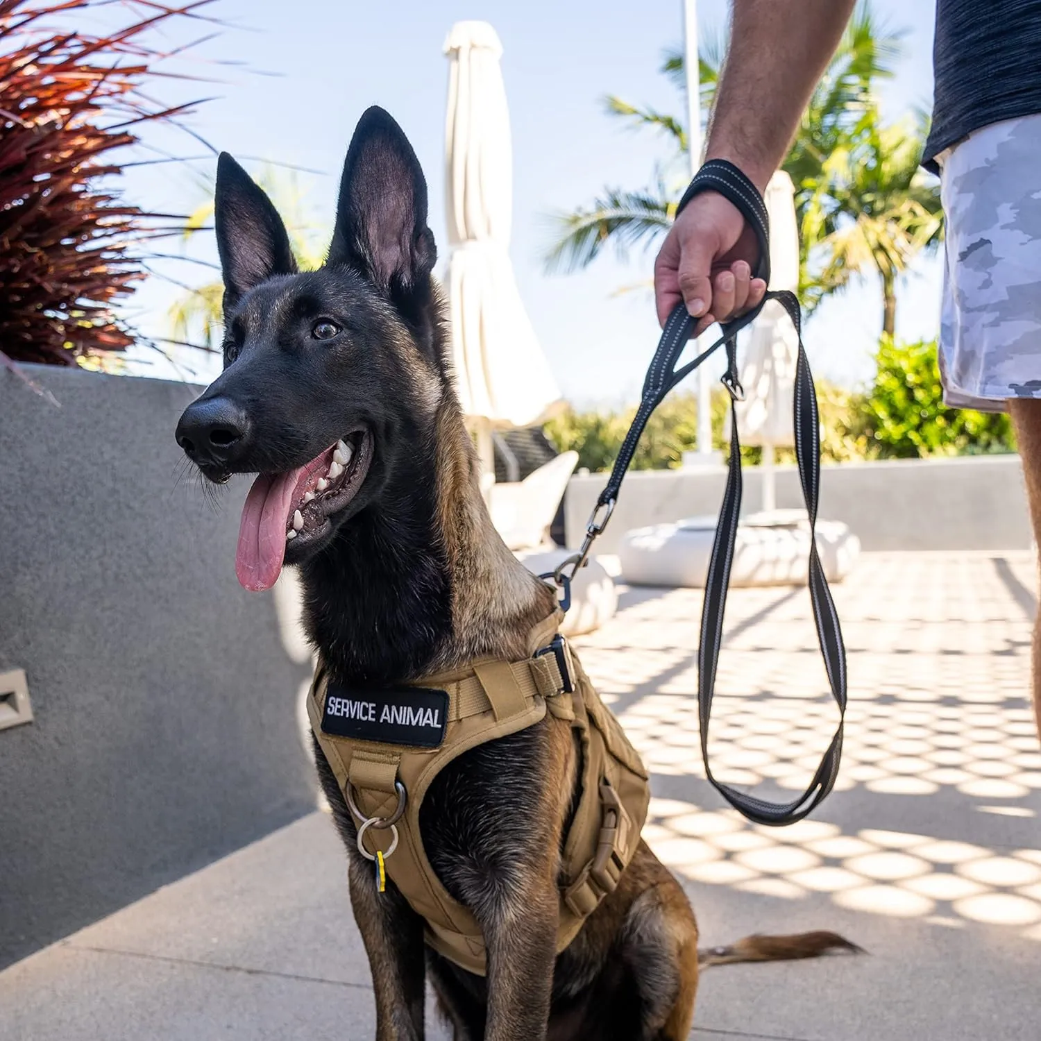 Shed Defender 5 ft. Standard Dog Leash - Three Padded Traffic Handles, Designed in The USA, Dual Layered Thickness Heavy Duty, Reflective Stitching, Large Dogs & Small Breed, Training Lead (Black)