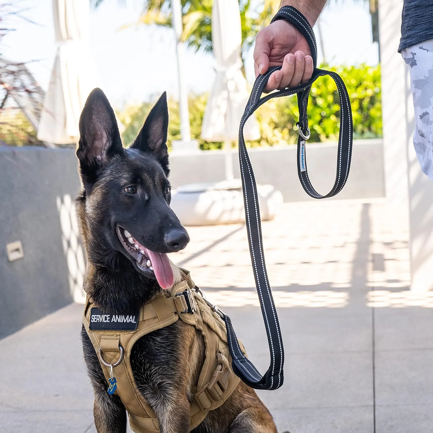Shed Defender 5 ft. Standard Dog Leash - Three Padded Traffic Handles, Designed in The USA, Dual Layered Thickness Heavy Duty, Reflective Stitching, Large Dogs & Small Breed, Training Lead (Black)