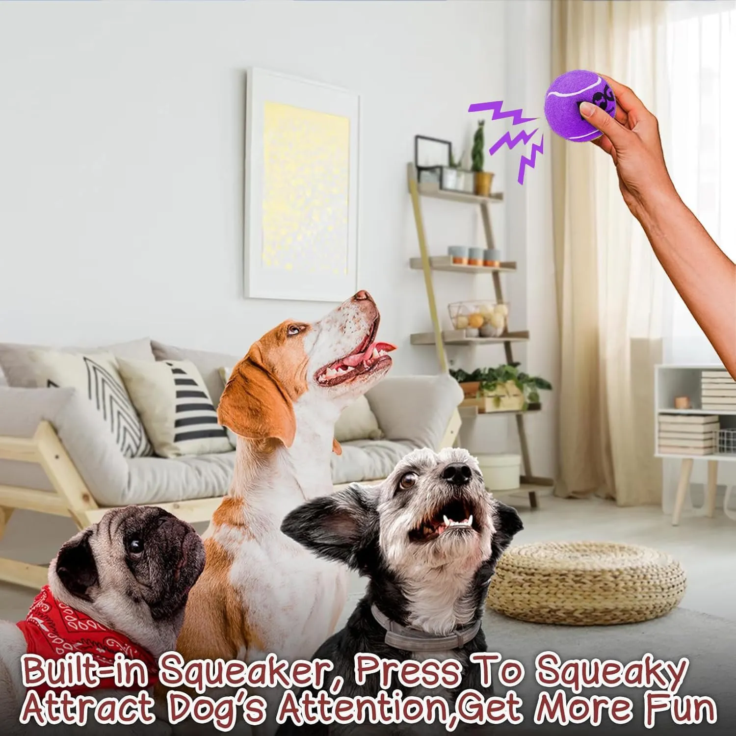 Squeaky Dog Balls - Squeaky Tennis Balls for Dogs, Purple | Medium - 2.5'', 4Pack