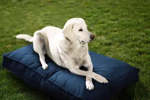 Sunbrella Double Sided Dog Bed for Indoor/Outdoor,Washable Cover & Chew Proof, Pets Mat for Multipurpose, Easy Care & Pet Safe Products (Medium, Polyester, Indigo, 36x26x 3")