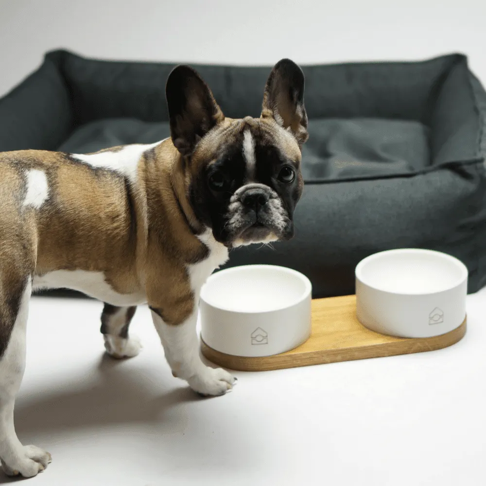 TÖVE Luxury High Side Dog Bed by Labbvenn in Nut