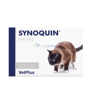 VetPlus SYNOQUIN ® Joint Supplement 30 Capsules for Cats