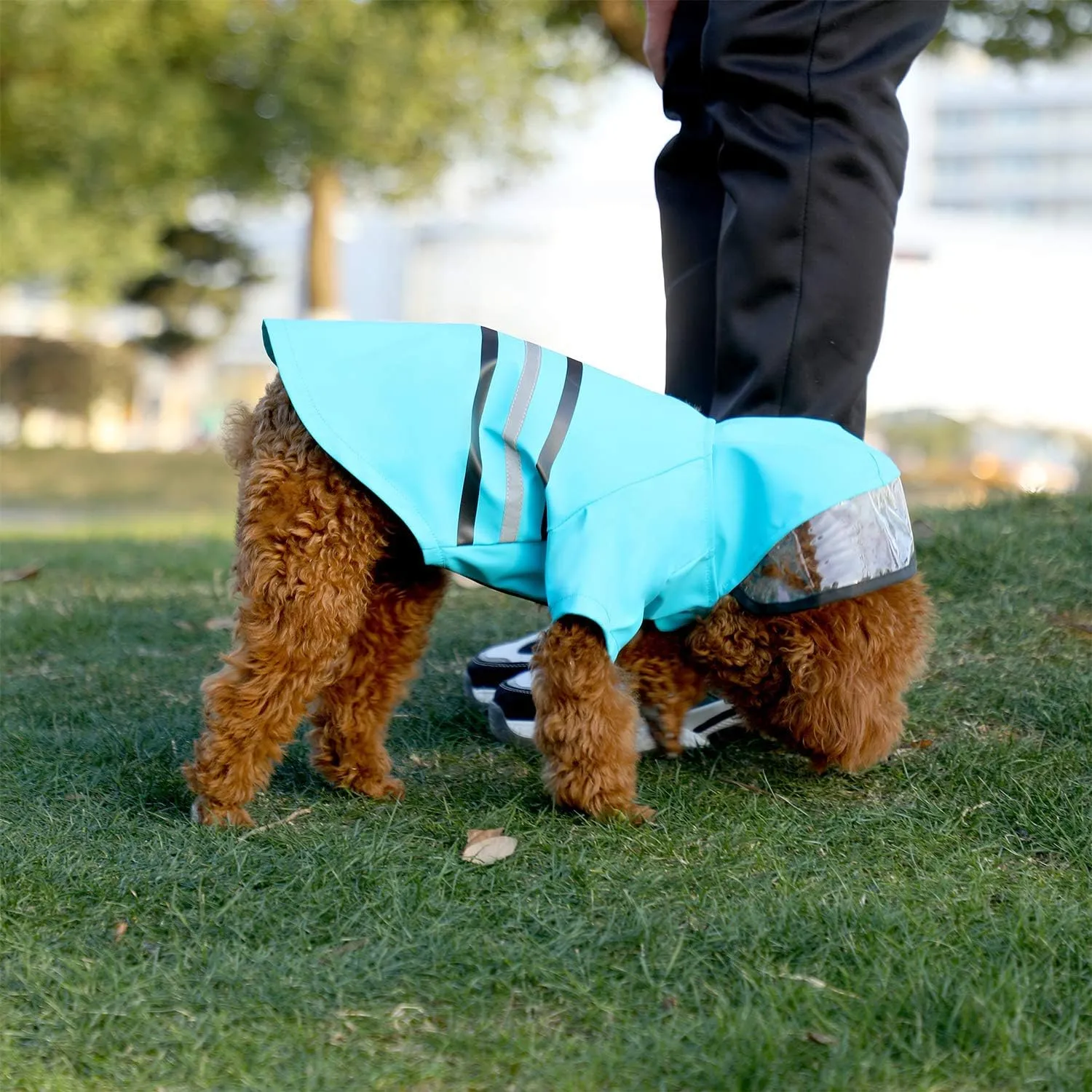 Wizland Reflective Dog Raincoat Dog Rain Jacket with Hood Lightweight Waterproof Rain Coat for Puppies (Blue S)