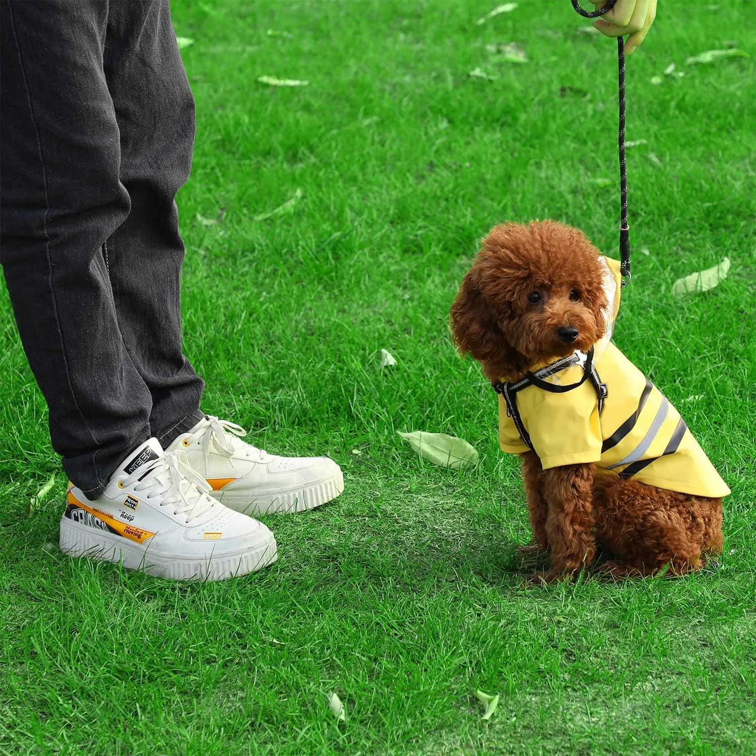 Wizland Reflective Dog Raincoat Dog Rain Jacket with Hood Lightweight Waterproof Rain Coat for Puppies (Yellow XS)