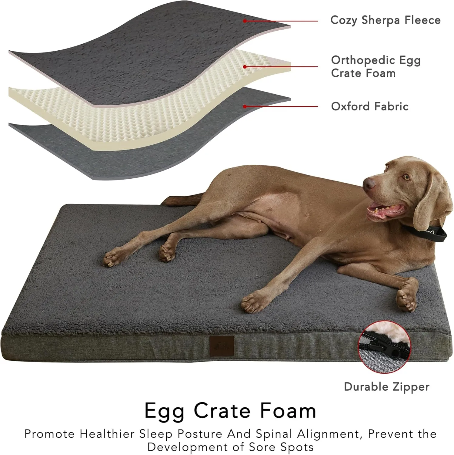 XLarge Dog Beds, Orthopedic Dog Beds for Large Dogs with Removable Washable Cover, XL Dog Beds Large Sized Dog, Egg Crate Foam Pet Bed Mat, Dark Grey, 44x32x3in, Suitable for Dogs Up to 100lbs